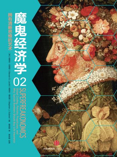 魔鬼经济学2：拥有清晰思维的艺术