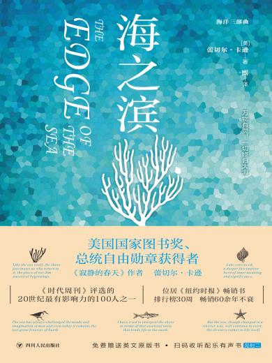 海之滨