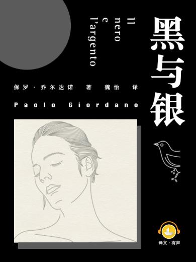 黑与银